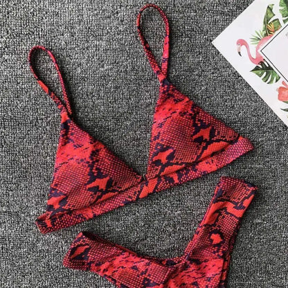 Hot Two-Piece Bikini Set