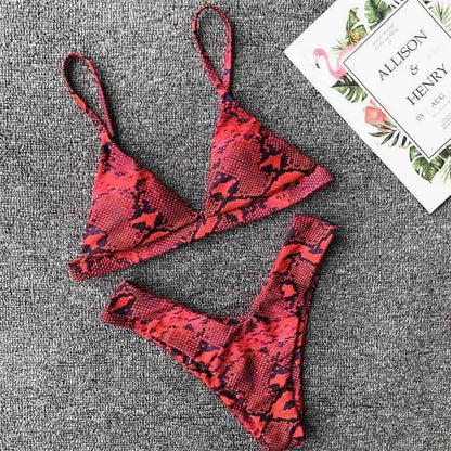 Hot Two-Piece Bikini Set