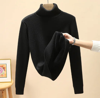 Women Turtleneck Autumn Winter Sweater